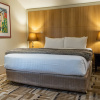 Отель Islington Hotel, фото 2