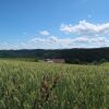 Отель Mittelberghof Hofstetten, фото 21