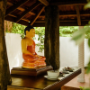 Отель Thaulle Pure Ayurveda Resort - Yala, фото 23