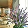 Отель Jinjiang Inn Select Haikou Qilou Old Street Binhai Avenue, фото 21