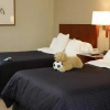 Отель Sheraton Braintree, фото 1