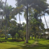 Отель Oasis Hotel Las Terrenas, фото 10
