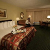 Отель Holiday Inn Houston-Near The Galleria, фото 18