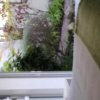 Отель Bosavern Guest House, фото 6