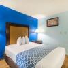 Отель Econo Lodge Inn & Suites Airport, фото 37