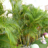 Отель Mild Sign Residence, фото 20