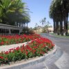 Отель Palm Valley Country Club Condo with Best Location в Палм-Дезете