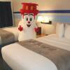 Отель Town and Country Motel, фото 5