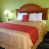 Отель Oak Tree Inn & Suites, фото 18