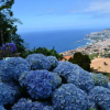 Отель Holiday House 4 You, фото 13