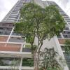 Отель Roomo Brooklin Morumbi – Ejoy, фото 39