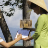 Отель L'Alya Ninh Van Bay, фото 30