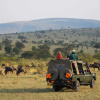 Отель Instinct of the Mara, фото 1