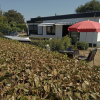 Отель B&B de Zeemeeuw, фото 15