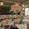 Отель Rabat Marriott Hotel, фото 16