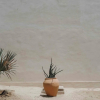 Отель Casa Yuma, фото 34