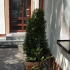 Отель Oggersheimer Hof, фото 15