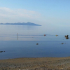 Отель Kapiti Waves Bed & Breakfast, фото 9