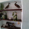 Отель Hostal Guacamayas, фото 30
