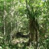 Отель Quintana Roo National Park Campground & Hiking, фото 13