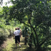 Отель Finca Turistica Machangara, фото 28
