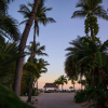 Отель The Caribbean Resort Coconut Palm North, фото 1