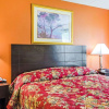 Отель Framingham Inn, фото 3