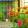 Отель Creole Gardens Guesthouse and Inn, фото 18