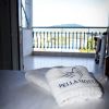 Отель Pella Hotel, фото 6