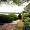 Отель The Cove Motel, фото 25