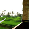 Отель Ubud Sawah Homestay, фото 6