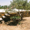 Отель Lovely Cottage With sea Views in Selca, Croatia, фото 14