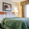 Отель Quality Inn & Suites, фото 22