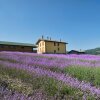 Отель Agriturismo Ca Bacchetta, фото 1