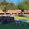 Отель Elegant Desert Lodge, фото 26