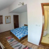 Отель Pensiunea Viorica, фото 3