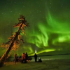 Отель Lapland Guesthouse, фото 34