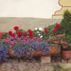Отель Tirlerhof, фото 3