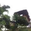 Отель Eco Hills Homestay, фото 18