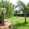 Отель Sunvillage Malia Boutique Hotel & Suites, фото 16