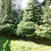 Отель Gentianes 1 - Très Bel Appartement Centre Village Et Proche Des Pistes, фото 1