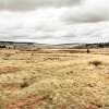 Отель Private Fairplay Home w/ Fishing Pond & Mtn Views!, фото 12