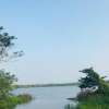 Отель Nimthera Holiday Resort, фото 15