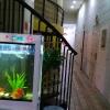 Отель Qingdao Lianzi Youth Hostel в Циндао