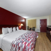Отель Red Roof Inn Ellenton – Bradenton NE, фото 3