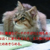 Отель Okinawa Freedom, фото 48