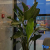 Отель Yishang Hotel (Kuqa Jiankang Road Branch), фото 12