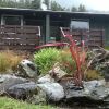 Отель Arthur's Pass Alpine Motel, фото 28