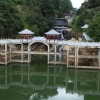 Отель Jinggangshan Zhongmei Hotel, фото 11