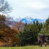 Отель Agriturismo Montagnola Abruzzo, фото 6